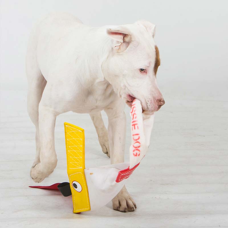 Dog with Chook Standard size dog toy