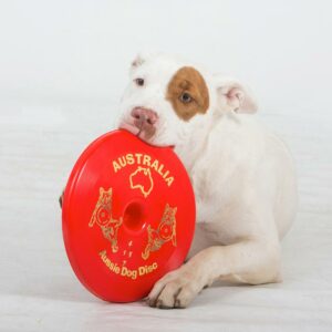 Dog chewing red frisbee