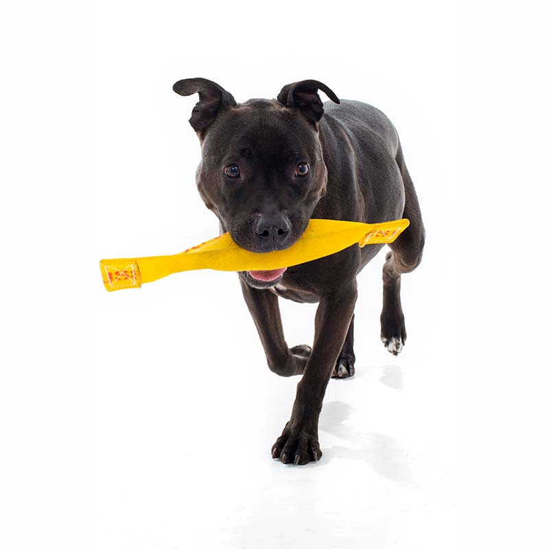 Staffy dog with Get-It dog toy for large dogs