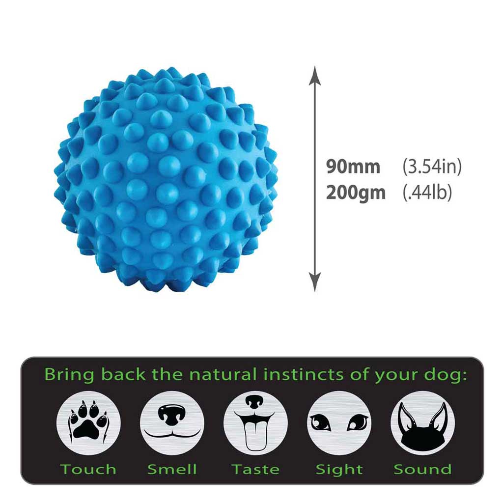 Catch Ball blue size guide