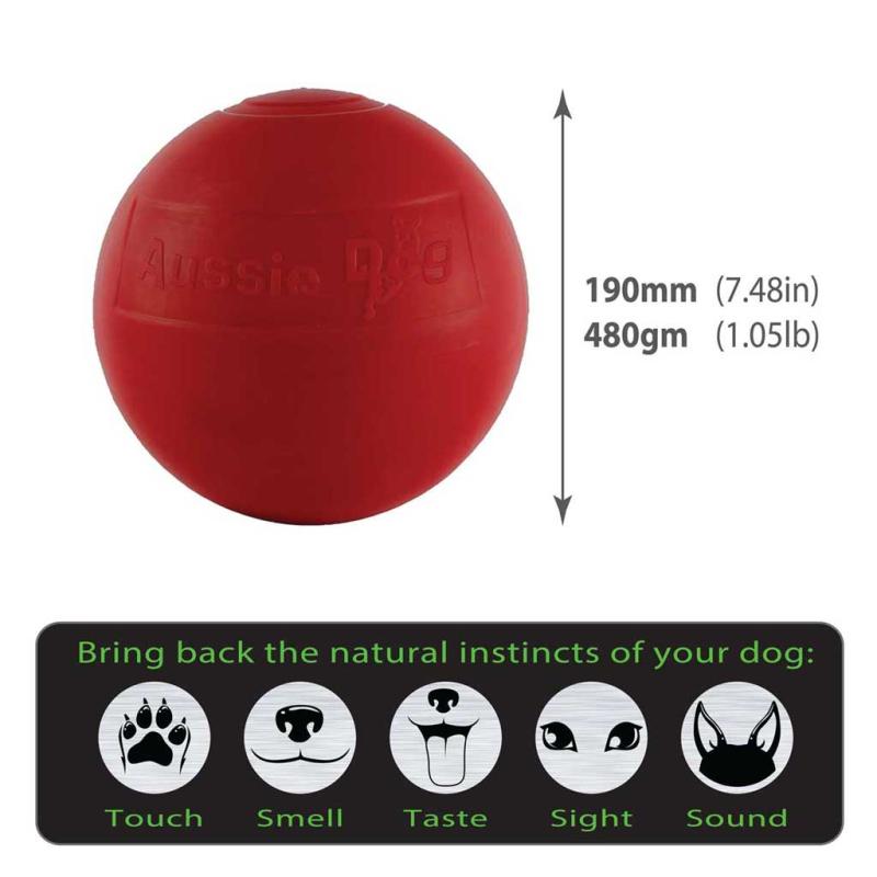 Enduro Ball medium size guide