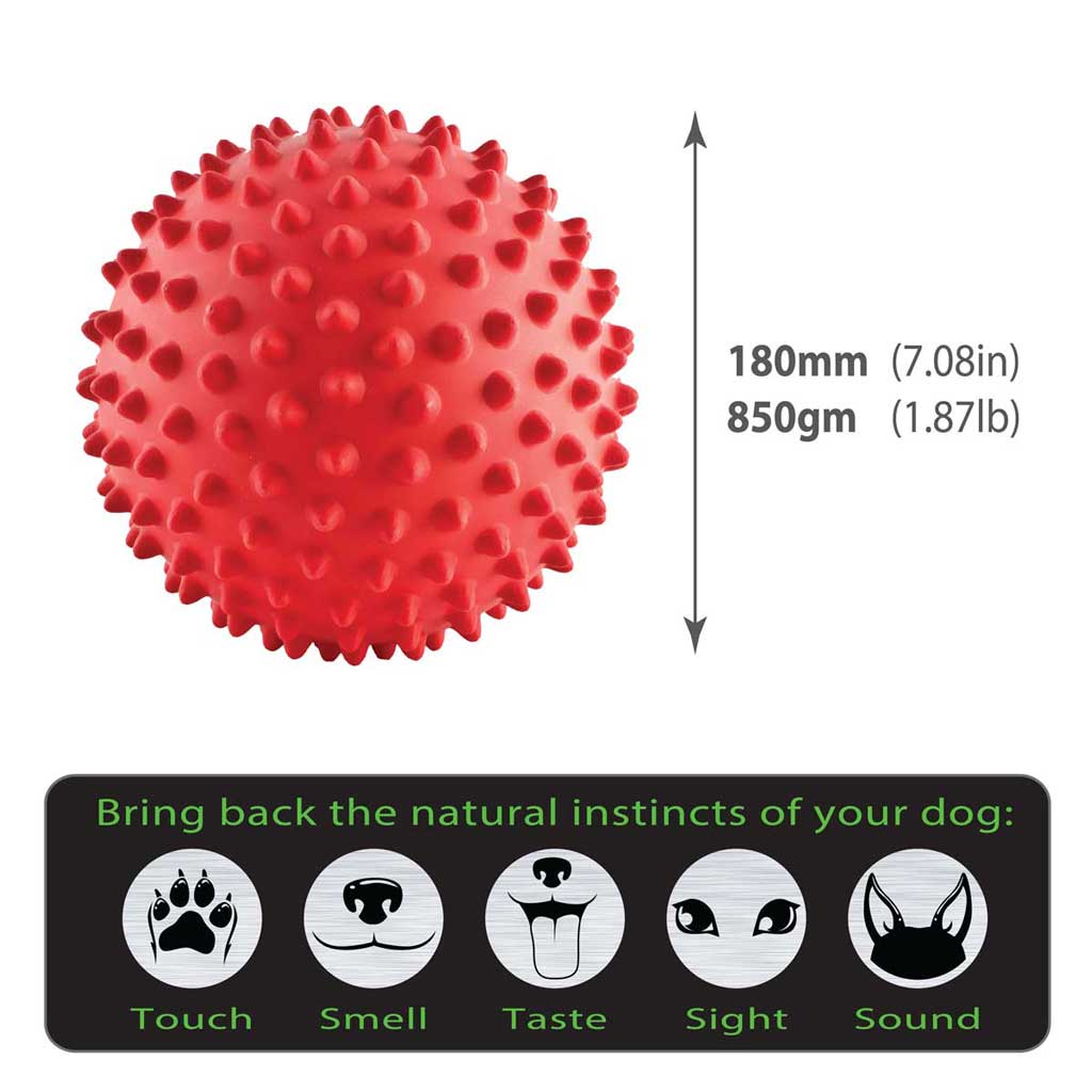 Mitch Ball red size guide