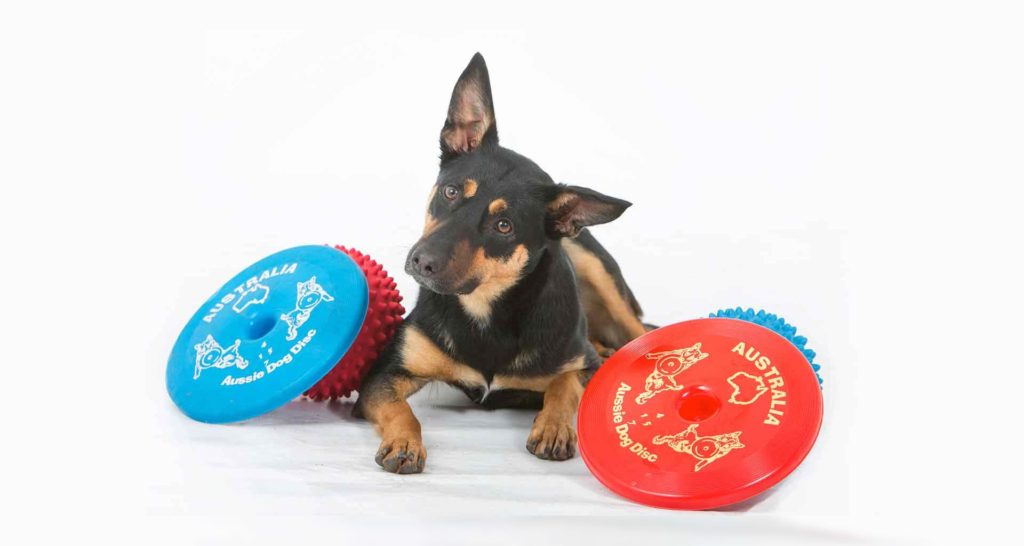 Wholesale Dog Toys - Frisbees