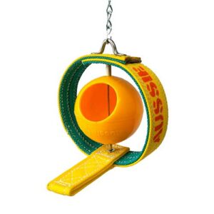 bird feeder with ball and perch